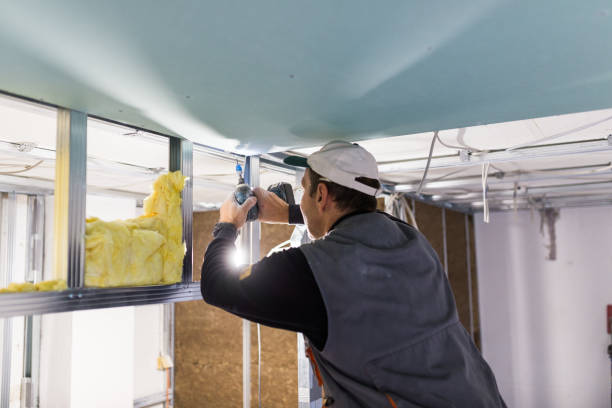 Best Energy-efficient Insulation  in Fruit Hill, OH