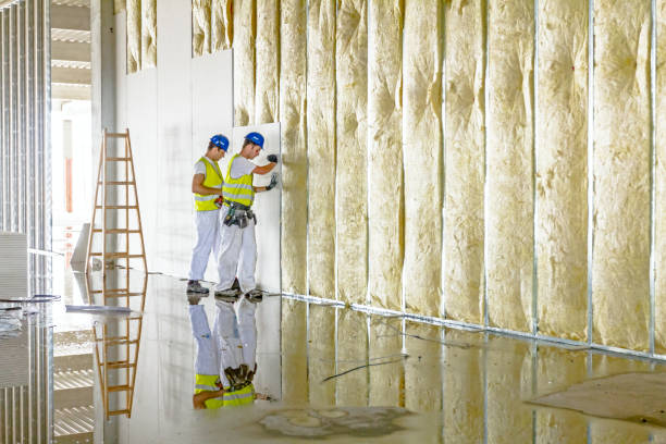 Best Affordable Insulation Services  in Fruit Hill, OH
